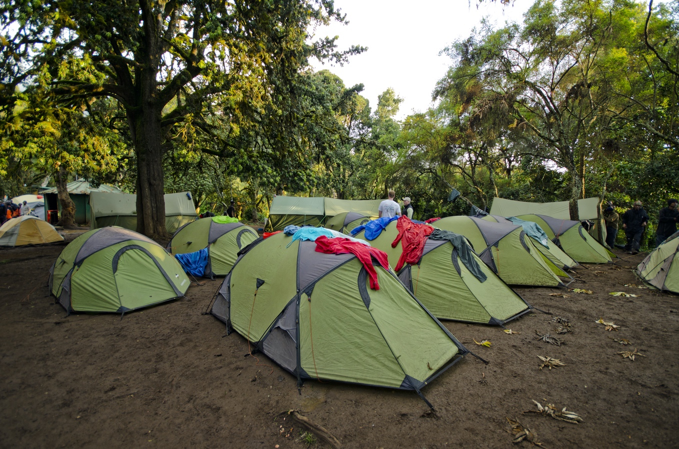 Kilimanjaro