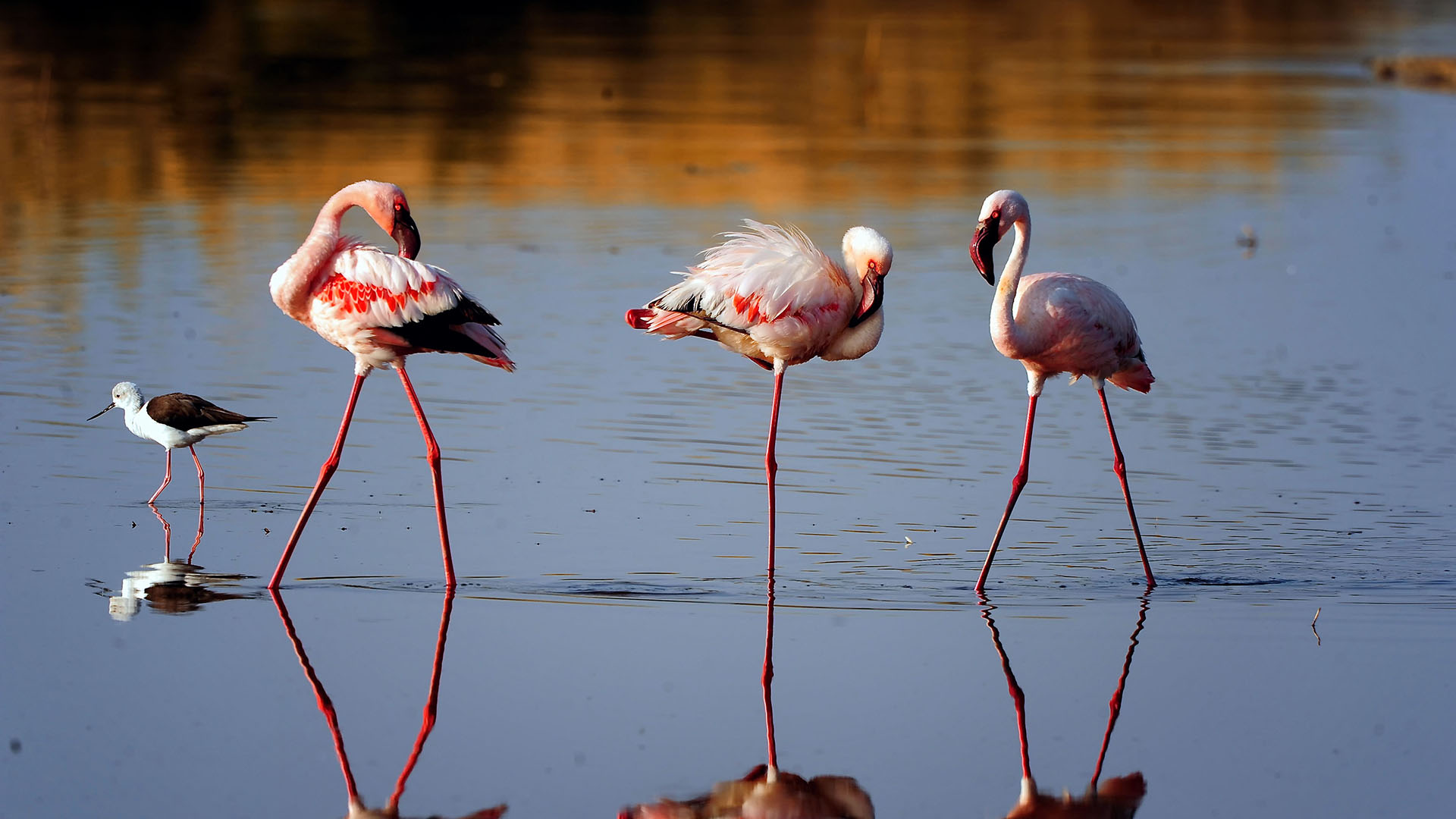 ngorongoro-crater-ngorongoro-conservation